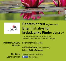 Flyer für das Benefizkonzert 2017, als Motiv zwei Seerosenblüten auf einem Teich
